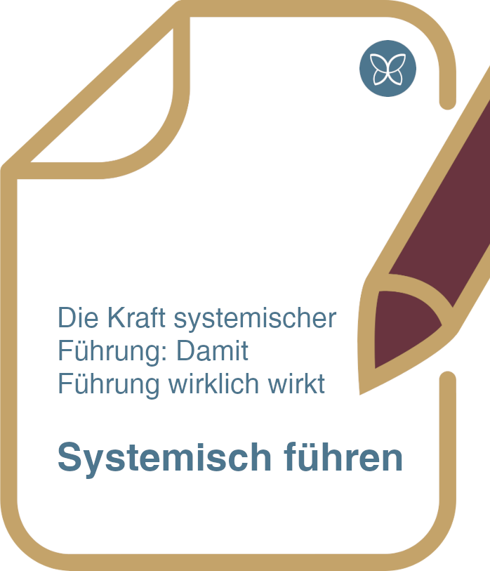 systemisch führen